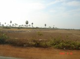 crop land